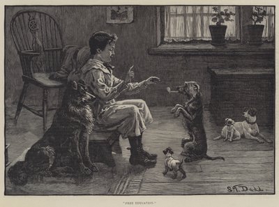 Free Education by S.T. Dadd